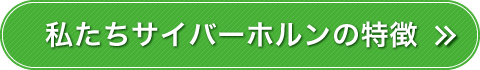 私たちサイバーホルンの特徴